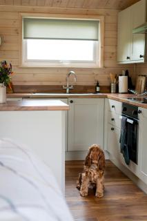 Curlew Lodge Yorkshire - West Tanfield - 9