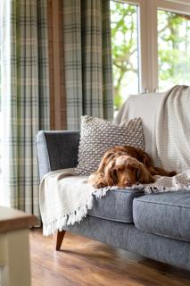 Curlew Lodge Yorkshire - West Tanfield - 3