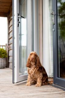 Curlew Lodge Yorkshire - 2