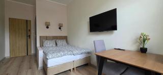 Perfect Stay - "Pod Krzyżackim Murem" with parking - Toruń - 7