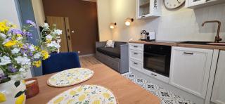 Perfect Stay - "Pod Krzyżackim Murem" with parking - Toruń - 5