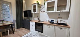 Perfect Stay - "Pod Krzyżackim Murem" with parking - Toruń - 9