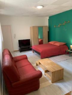 Carcassonne Studio - 1
