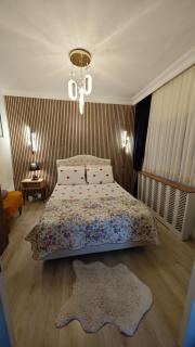 Bosphorus view houses - Istanbul - 7
