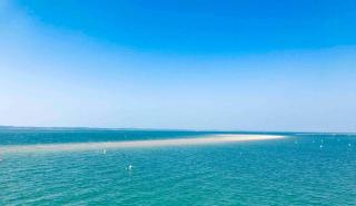 2-rooms apartment in Arcachon-style villa with garden, minimum stay 3 nights - Arcachon - 8