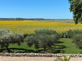 Manhay Nature Stay, Luxembourg - 3