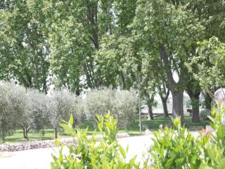 Manhay Nature Stay, Luxembourg - 4