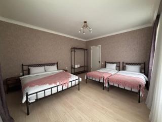 Geo Inn - Kazbegi - 0