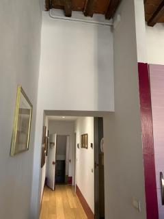 Aurora88 Apartments - Arezzo - 8
