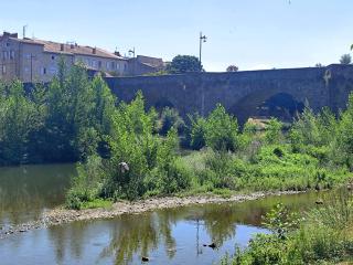Le1693 - Charme & confort 4 étoiles - Jacuzzi - Limoux - 3