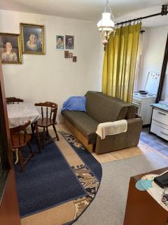Apartmani Radulovic - Kursumlijska Banja - 4