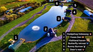 The Firs Country Park - 7
