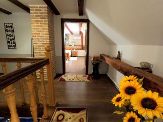 Mehadica House - 3