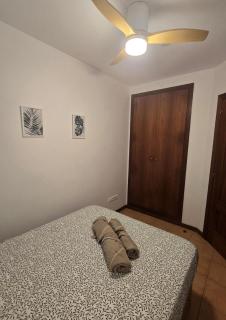 Apartament Milat - L'Eucaliptus - 8