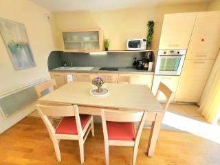 Spacious cozy flat near Divonne center - Divonne-les-Bains - 7