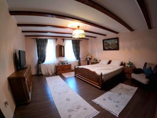 Mehadica House - Mehadica - 9