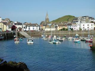 Puffins Nest, close to Tunnels Beach & Harbour with Parking - Ilfracombe - 5