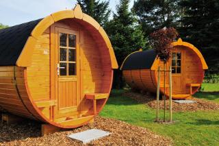 Camping & Ferienpark Falkensteinsee - - 7