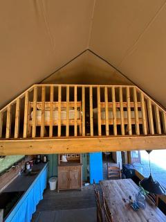 Koelioere Glamping Tent - Biddinghuizen - 1