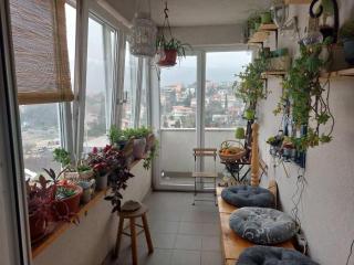 Apartmani Jelena - Novi Vinodolski - 5
