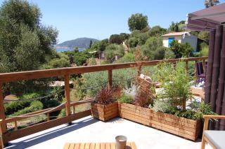 Les OULIVASTRES - Hyères - 9