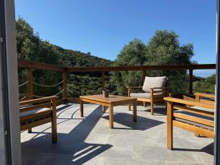 Les OULIVASTRES - Hyères - 8