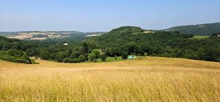 Château Labistoul - 6