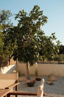 Mazi Paros - Aliki - 5