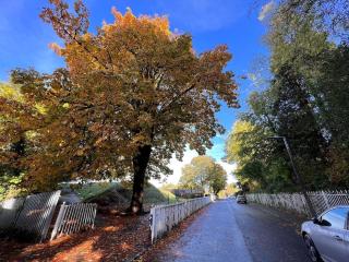 6 Luxury home near family park Pet friendly - 4