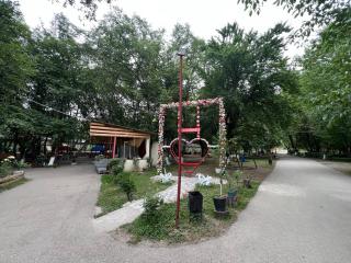 Qirmizi Qerenfil - Quba - 0