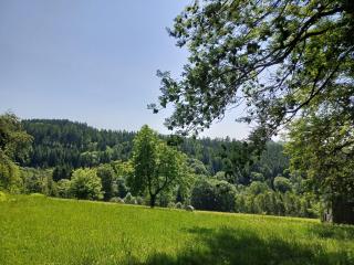 Apartmány Vila Jestřabí v Krkonoších - Jestrabi V Krkonosich - 6