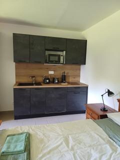 Apartmány Vila Jestřabí v Krkonoších - 1