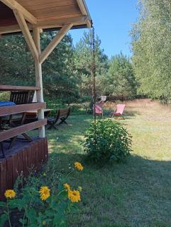 Agroturystyka Aroniówka - - 5