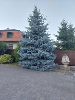 Bálint Villa Vendégház - Miskolc - 5