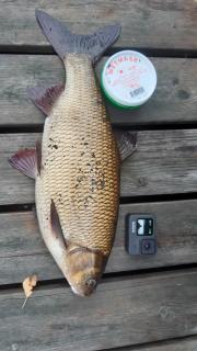 Filipstad, Lake House Fishing, Nature, Beach - Filipstad - 8