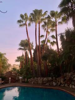 Villa in Marbella center - Marbella - 8