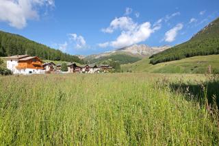 Appartamenti Lorenza 2 Baite Giotto - Livigno - 5