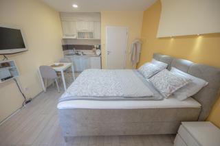 Amber Apartman - Banja Koviljača - 9