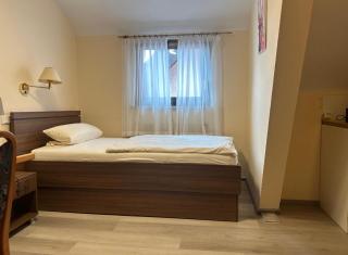 Hotel neue Traube - Fellbach - 5