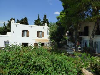 Villa Mimosa Poros Beachfront Apartment - Poros - 1