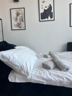 Apartament Szlachetny Jeleń - Jelenia Góra - 7
