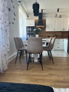 Apartament Szlachetny Jeleń - Jelenia Góra - 4