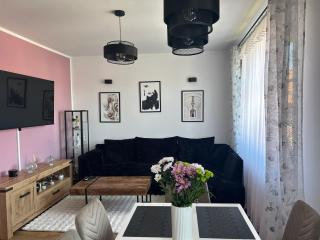 Apartament Szlachetny Jeleń - Jelenia Góra - 2