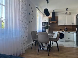 Apartament Szlachetny Jeleń - Jelenia Góra - 1