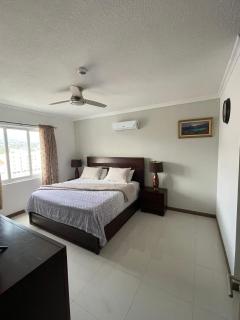 Joy Luxury Estate Kingston - Kingston - 3