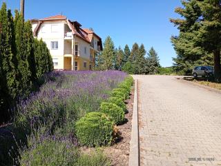 Bükkszentkereszt Oxigén Apartman2 - 7