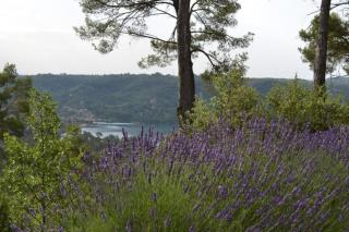 Panoramic lake view - Esparron-de-Verdon - 2
