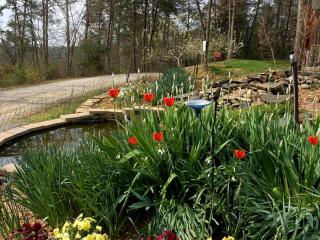 Luxury Three-Story Riverfront Cabin Rental for Groups in Blue Ridge Region of Georgia - Blue Ridge - 6