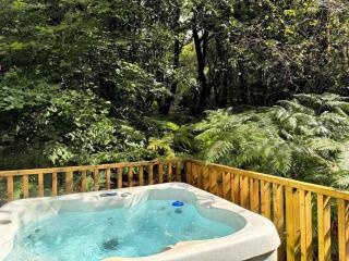 HiveAway - Hot Tub - Carmarthenshire - Pembrokeshire - Mydrim - 9