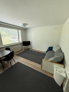 Saimaa Glow Apartment 2 - Savonlinna - 2